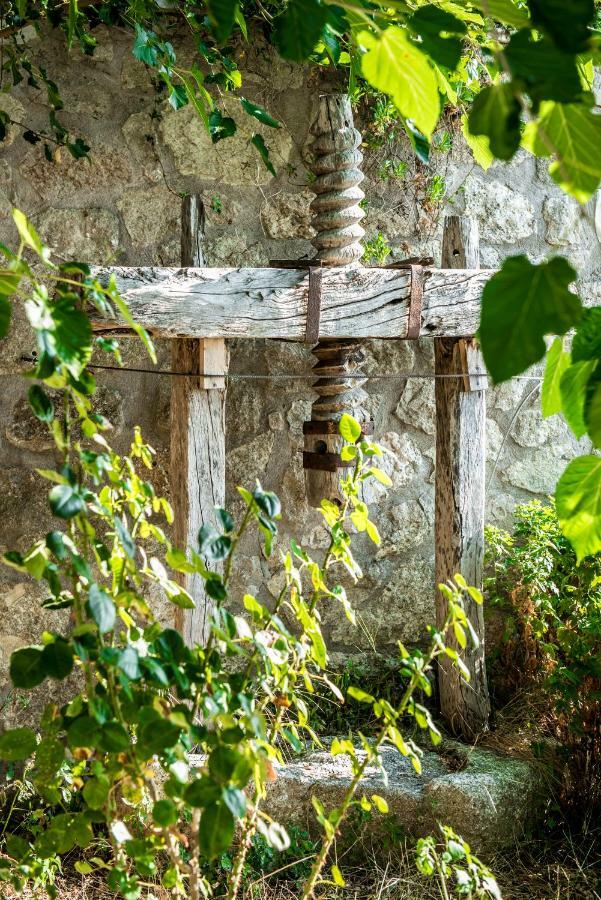 Villa Ilias Pinakokhorion المظهر الخارجي الصورة