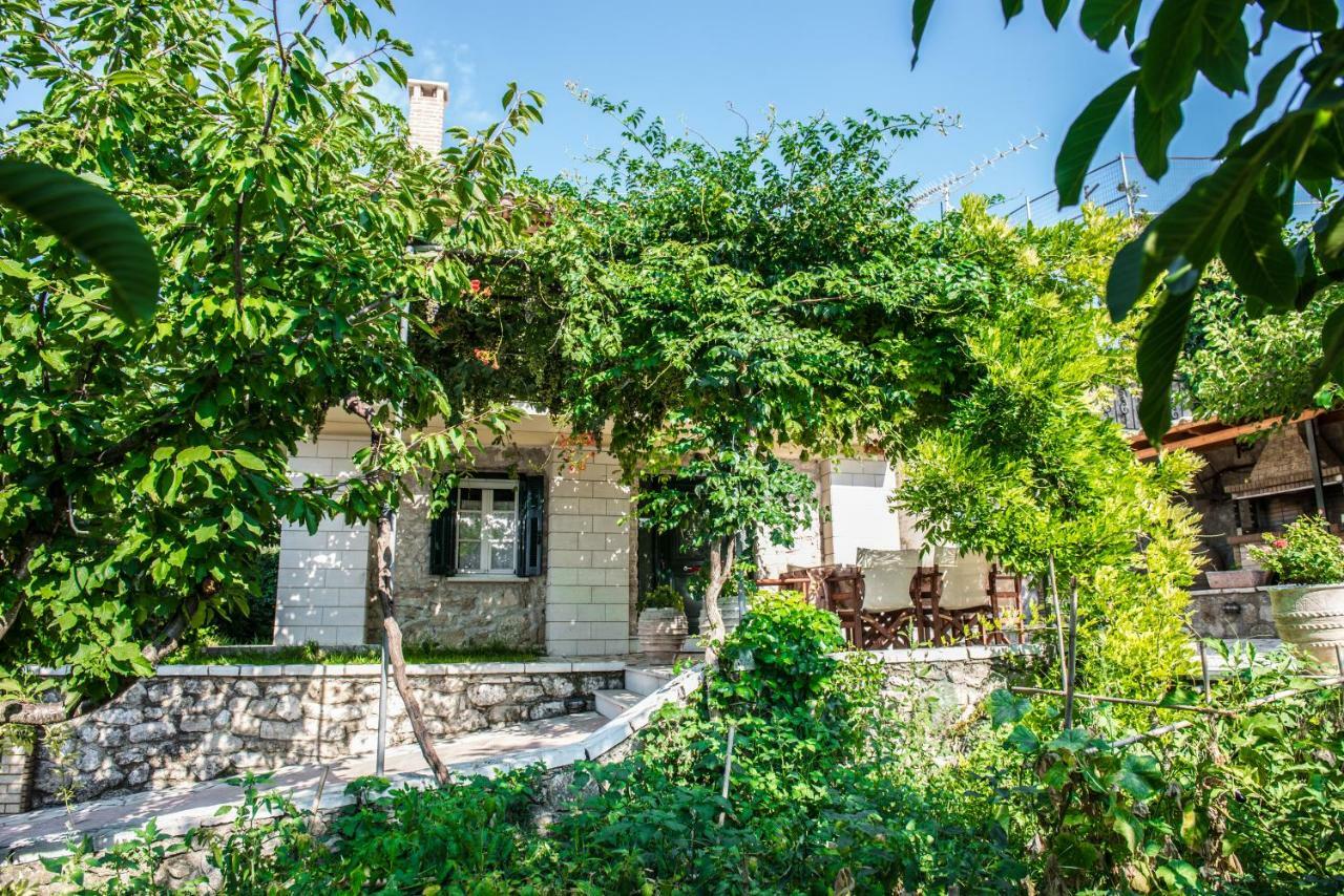 Villa Ilias Pinakokhorion المظهر الخارجي الصورة