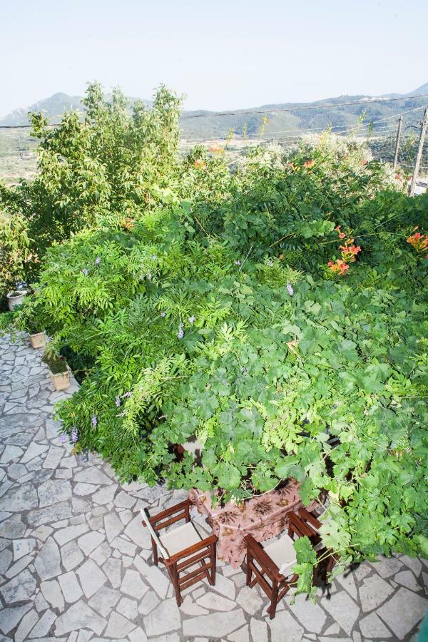 Villa Ilias Pinakokhorion المظهر الخارجي الصورة