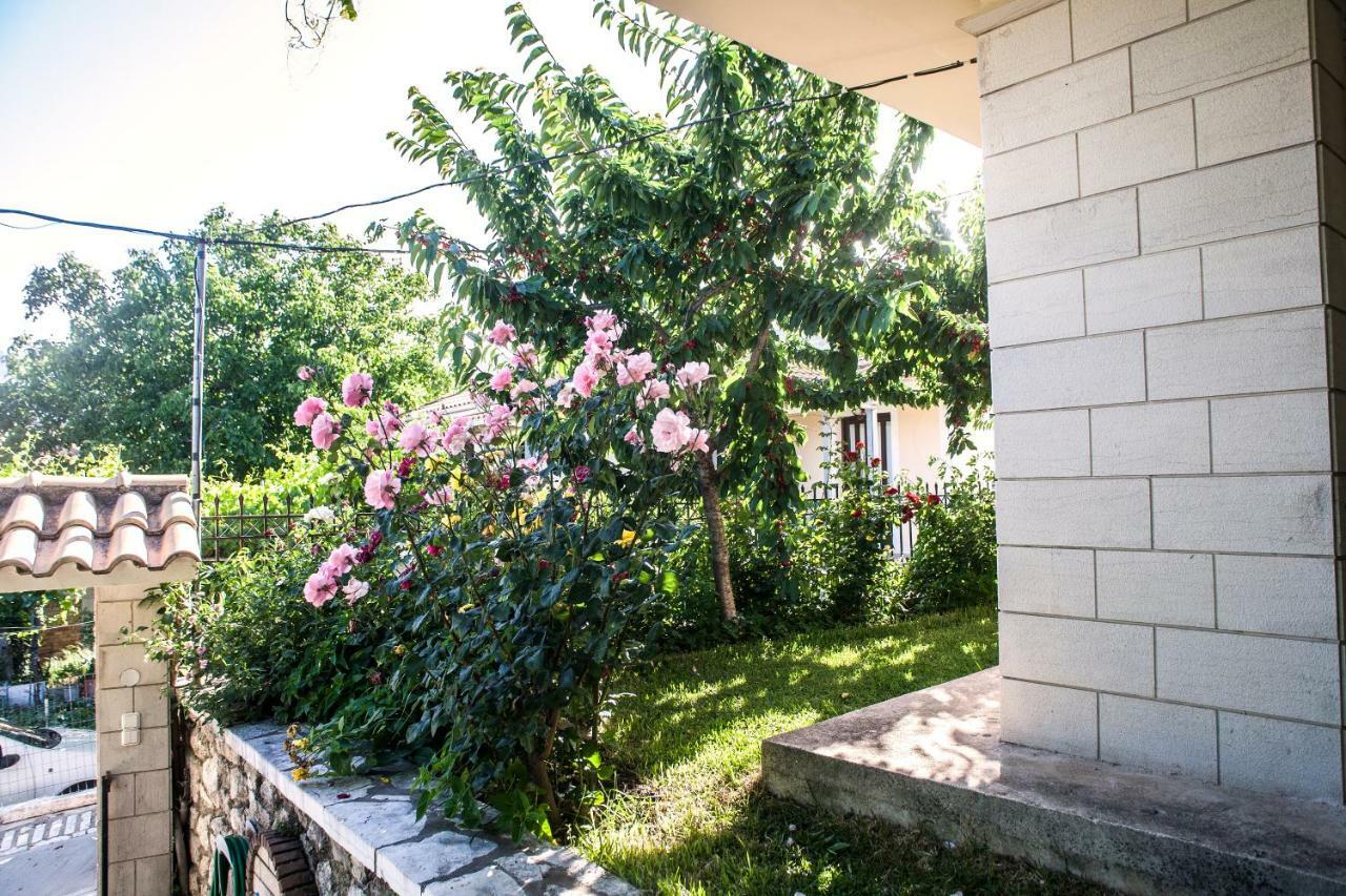 Villa Ilias Pinakokhorion المظهر الخارجي الصورة